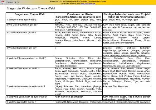 Fragen der Kinder zum Thema Wald