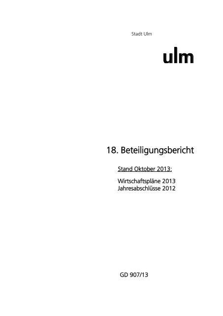 Beteiligungsbericht 2013 - Ulm