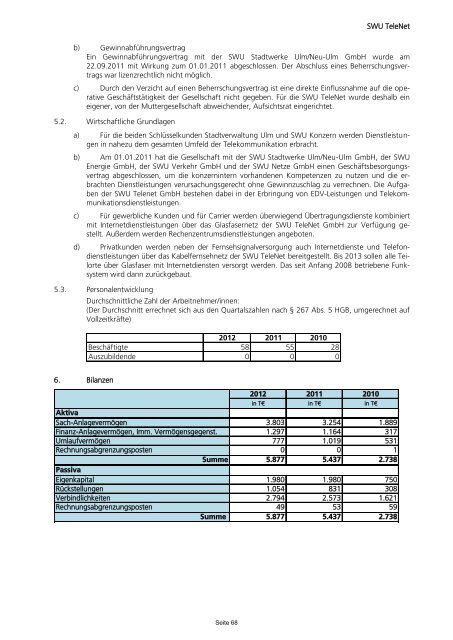 Beteiligungsbericht 2013 - Ulm