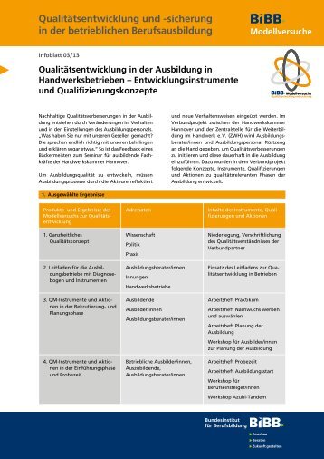 Infoblatt 03/13 - BiBB