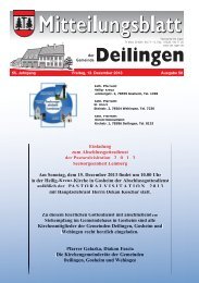 KW 50, 13.12.2013 - Deilingen
