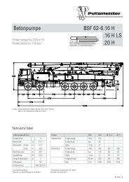 Typenblatt BSF 3591 [.pdf; 824.78 kb] - Putzmeister