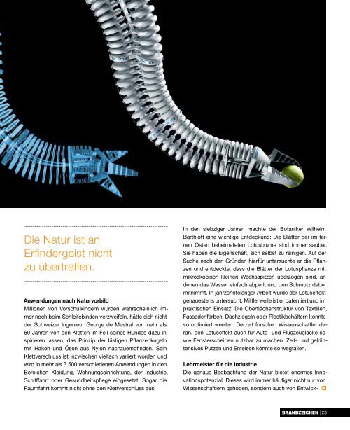 Brandzeichen ansehen (PDF) - Welke Consulting Gruppe