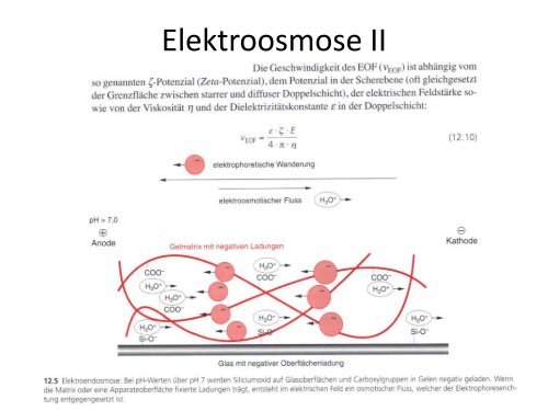 Elektrophorese - Institut für Analytische Chemie