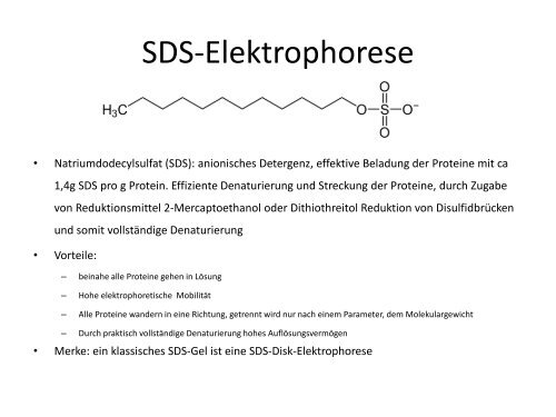 Elektrophorese - Institut für Analytische Chemie