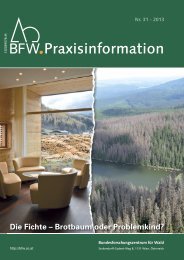 BFW-Praxisinformation 31: Die Fichte