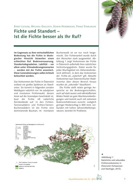 BFW-Praxisinformation 31: Die Fichte