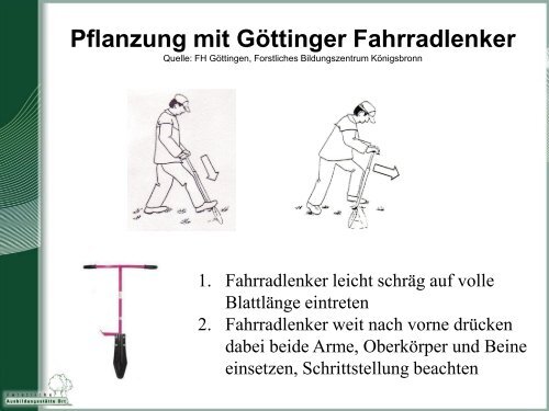 Vortrag Pflanzverfahren - BFW