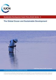 IUCN Policy Brief Oceans SDGs Jan