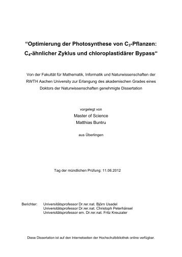 Dokument 1.pdf - RWTH Aachen University