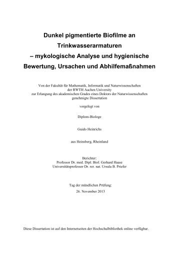 Dokument 1.pdf - RWTH Aachen University