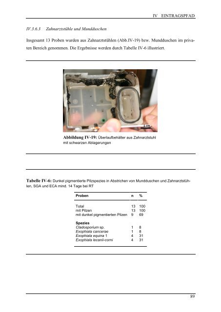 Dokument 1.pdf - RWTH Aachen University