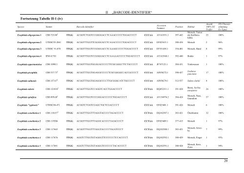 Dokument 1.pdf - RWTH Aachen University