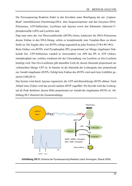 Dokument 1.pdf - RWTH Aachen University