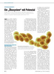 Ein „Ökosystem“ mit Potenzial - Deutsches Ärzteblatt