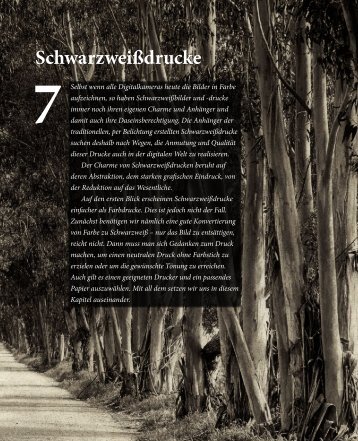 4_Schwarzweissdrucke (Kapitelauszug).