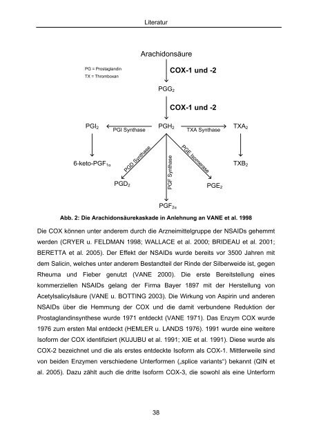 Effekt selektiver und nicht selektiver nichtsteroidaler Antiphlogistika ...