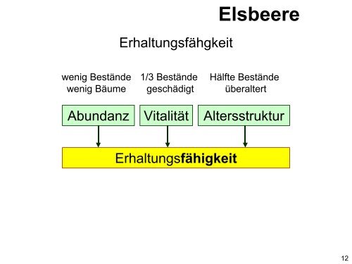 download - Landesbetrieb Forst Brandenburg