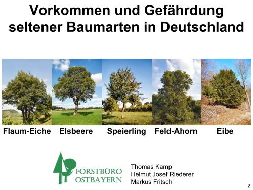 download - Landesbetrieb Forst Brandenburg