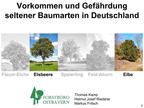 download - Landesbetrieb Forst Brandenburg