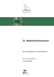 Nadel_20131220.pdf - Landesbetrieb Forst Brandenburg