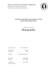 Holographie - IFAT - Otto-von-Guericke-Universität Magdeburg