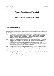 Physik-Praktikums-Protokoll Versuch E11 – Magnetische ... - IFAT