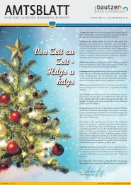 Dezember 2013 (Amtsblatt_12_2013_web.pdf | 4,45 MB)