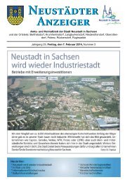 Amts - Neustadt in Sachsen