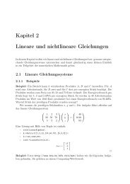 Kapitel 2 Lineare und nichtlineare Gleichungen - Institut für ...