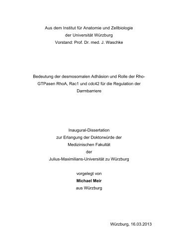 Diss_Meir_Michael.pdf (2304 KB) - OPUS Würzburg - Universität ...