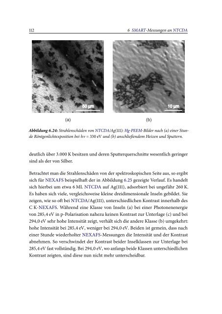 Spektromikroskopische Untersuchungen an ... - OPUS Würzburg