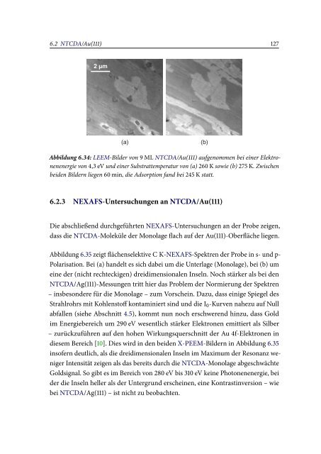 Spektromikroskopische Untersuchungen an ... - OPUS Würzburg