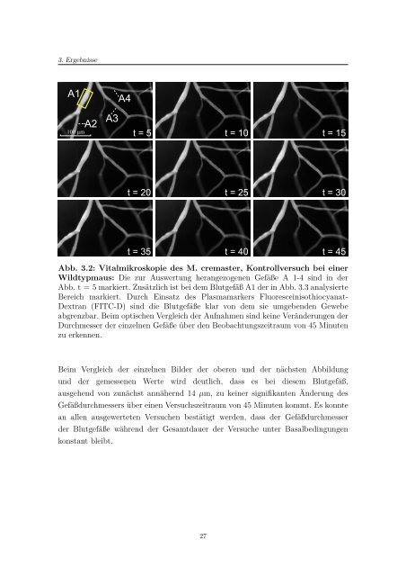 Diss_Hoehne_Christian.pdf (10777 KB) - OPUS Würzburg