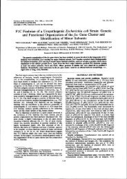 FlC Fimbriae of a Uropathogenic Escherichia coli ... - OPUS Würzburg