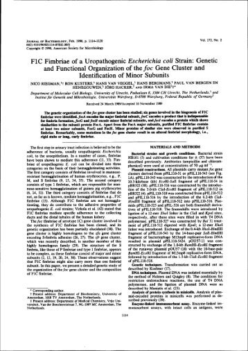 FlC Fimbriae of a Uropathogenic Escherichia coli ... - OPUS Würzburg