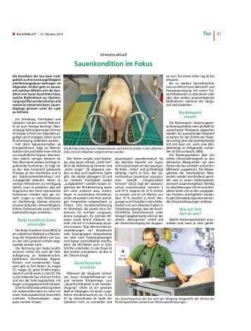 Sauenkondition im Fokus