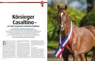 PDF (2.04 mb) - Pferd+Sport