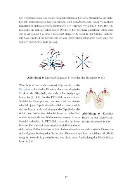 Physik der Elektroenzephalographie - Fakultät für Physik und ...