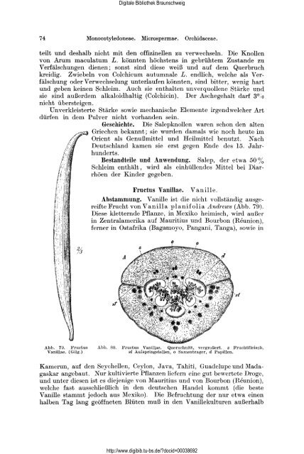 Lehrbuch der Pharmakognosie