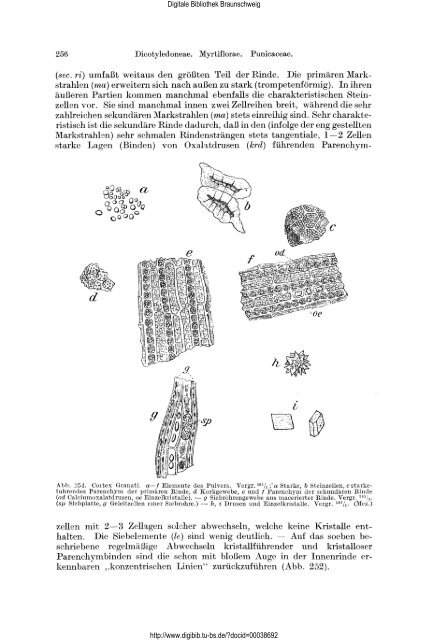 Lehrbuch der Pharmakognosie