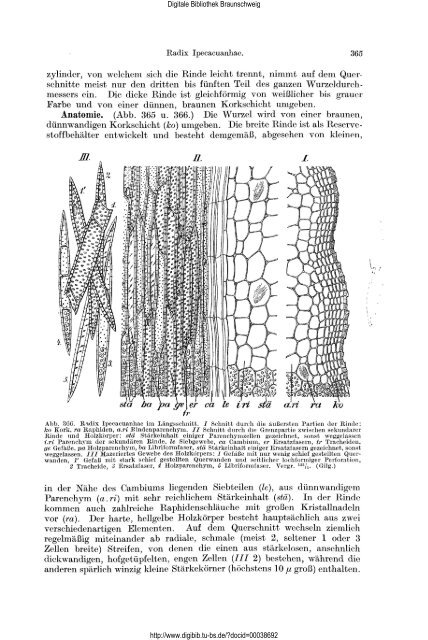 Lehrbuch der Pharmakognosie