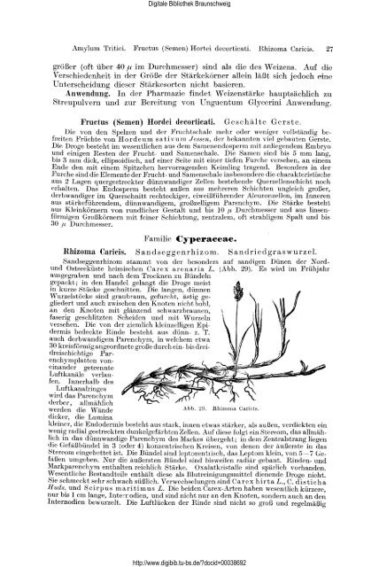 Lehrbuch der Pharmakognosie