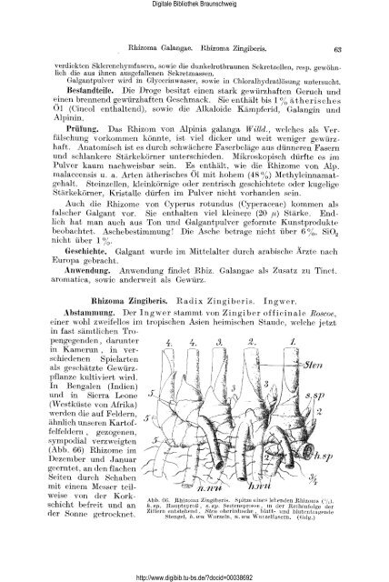 Lehrbuch der Pharmakognosie