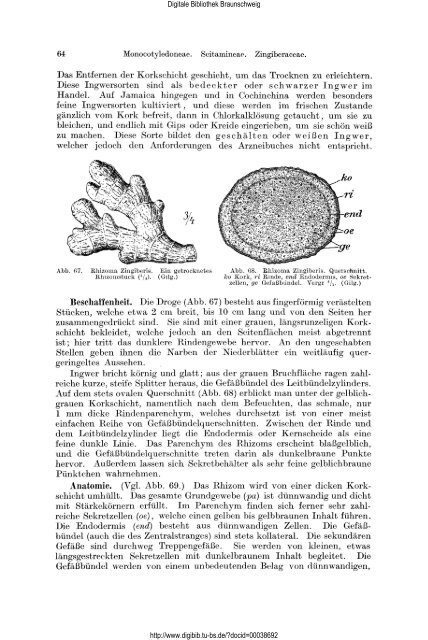 Lehrbuch der Pharmakognosie