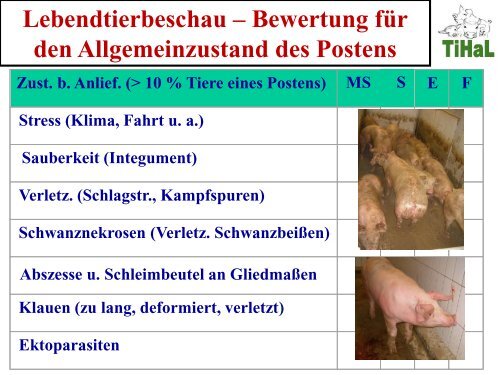 Was ist Tierwohl? [Download,*.pdf, 0,90 MB] - Landwirtschaft in ...