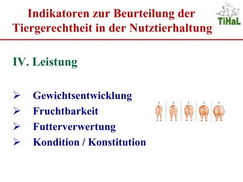 Was ist Tierwohl? [Download,*.pdf, 0,90 MB] - Landwirtschaft in ...