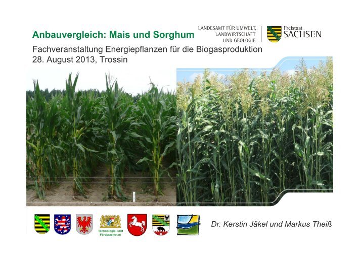 161 Gratis Magazine von LANDWIRTSCHAFT.SACHSEN.DE