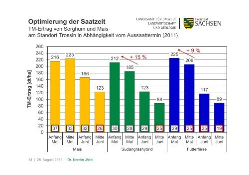 Anbauvergleich: Mais und Sorghum - Landwirtschaft in Sachsen