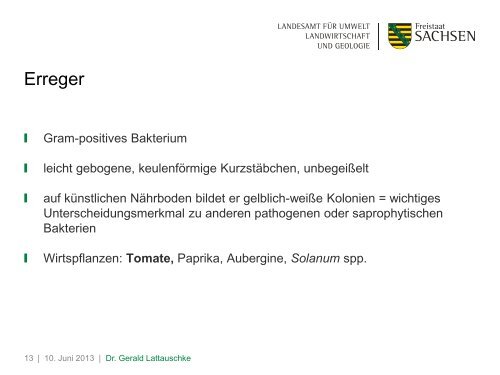 Bakterielle Tomatenwelke - Landwirtschaft in Sachsen